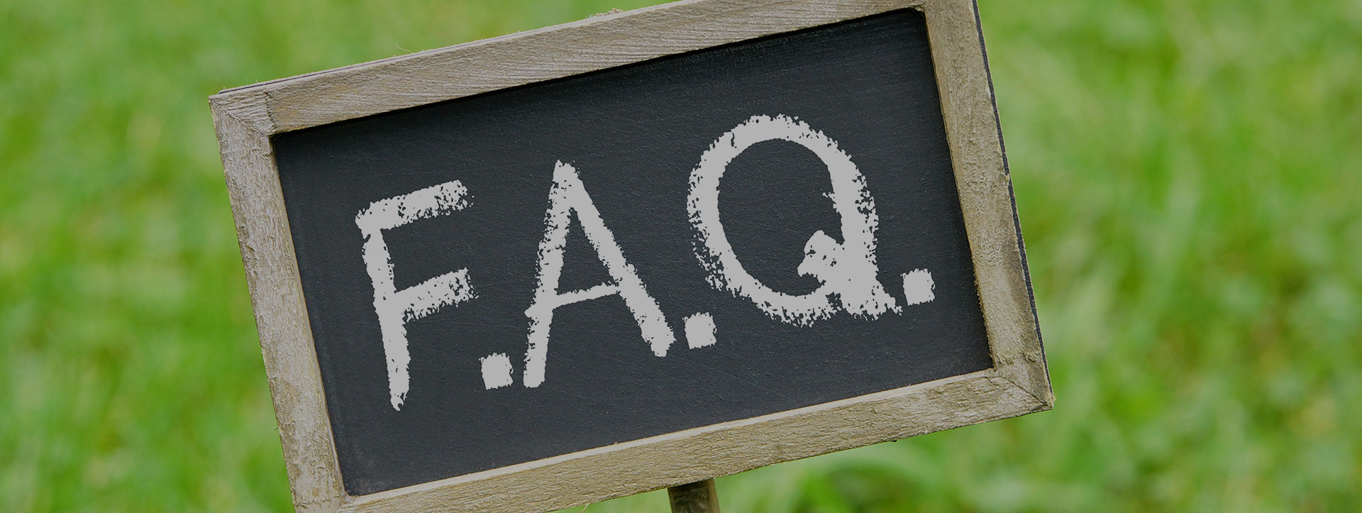 Компания Changshu Xiaoma Pet Products Co., LTD.